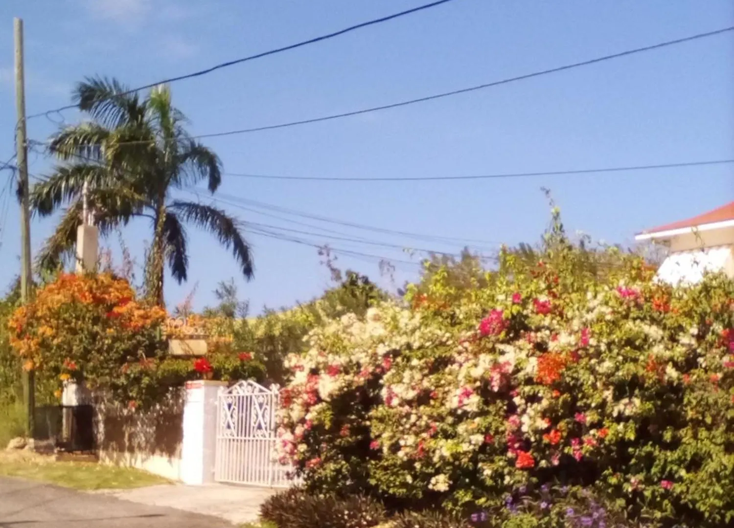 Castle Vue B&B Montego Bay